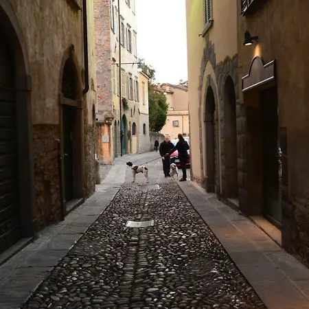 Lägenhet Civetta
